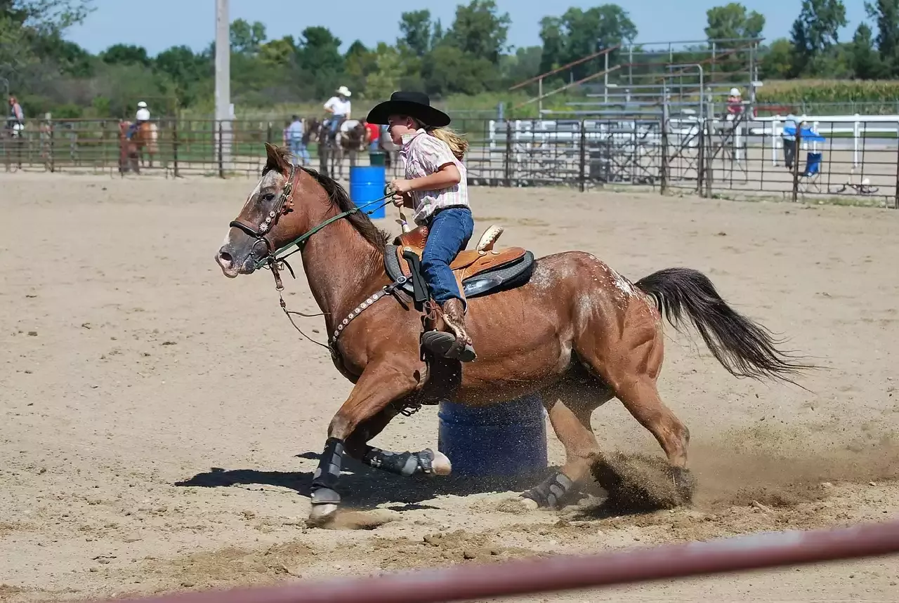 As 10 principais dicas para manter seu equipamento de rodeio