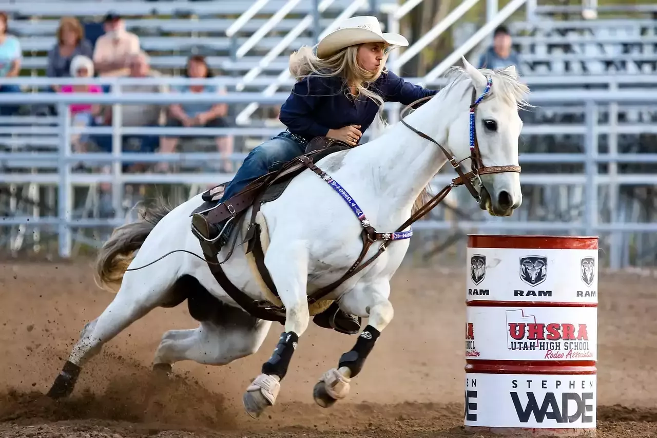 5 principais eventos globais de rodeio que você não deve perder