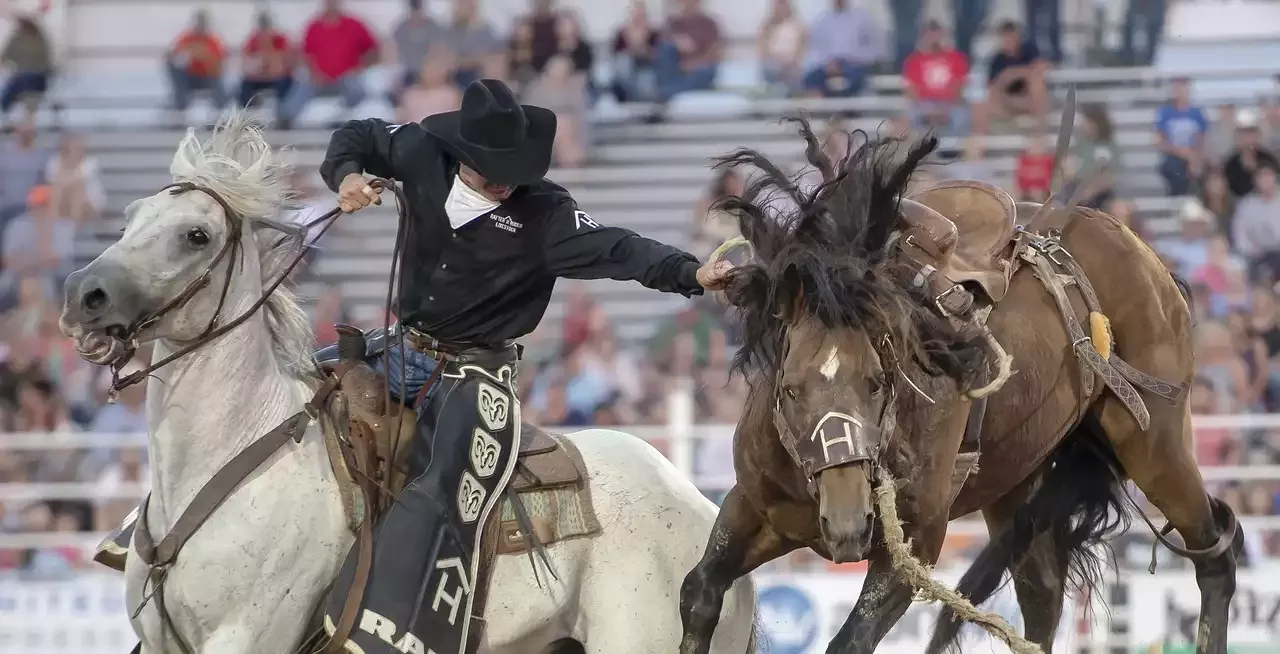 8 histórias incríveis de retorno de atletas de rodeio