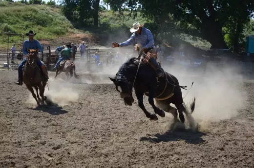 10 momentos inesquecíveis dos eventos globais de rodeio